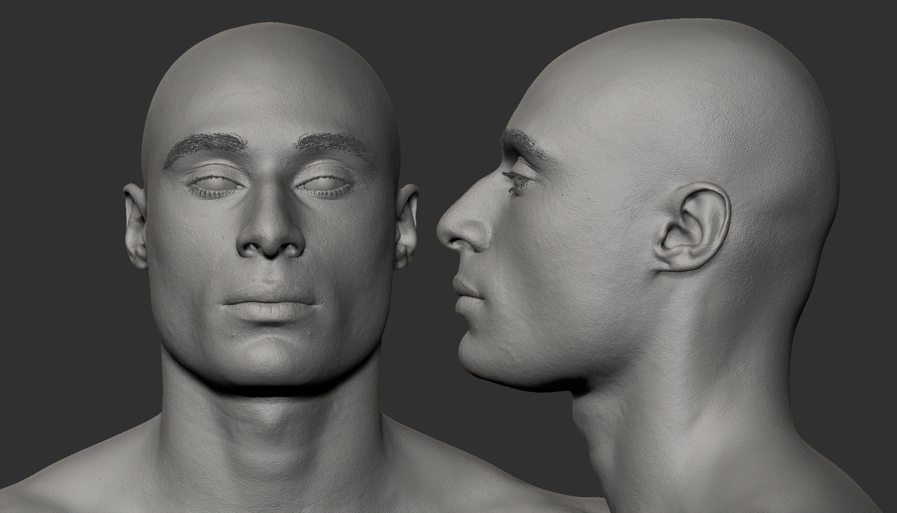 Male Zbrush capture